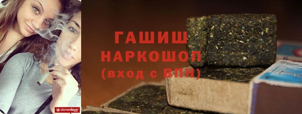 бошки Ельня