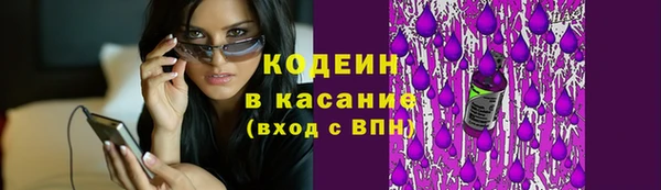 стаф Елизово