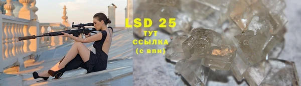 бошки Ельня