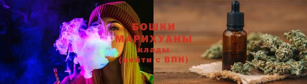 бошки Ельня