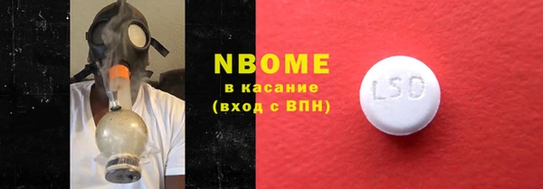 стаф Елизово
