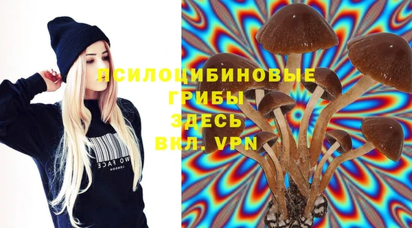 стаф Елизово