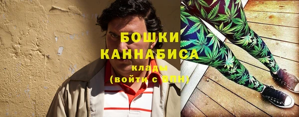 бошки Ельня