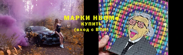 стаф Елизово