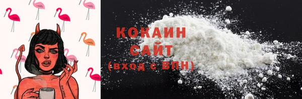 стаф Елизово