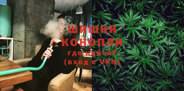 стаф Елизово