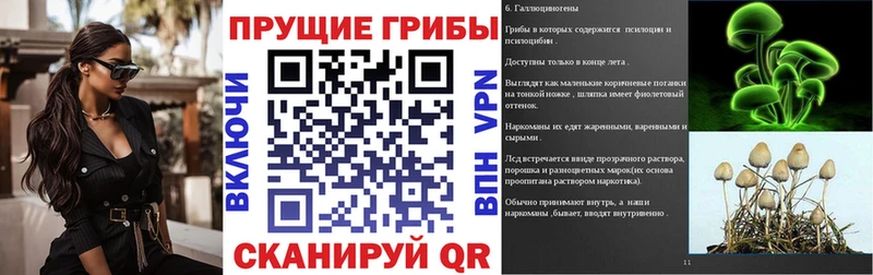 Псилоцибиновые грибы MAGIC MUSHROOMS  Купить где  Сарапул 
